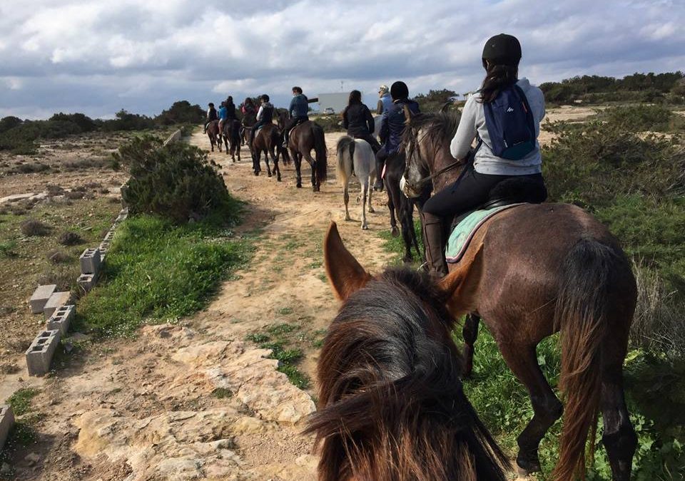 Actividades para grandes y pequeños en Ibiza y Formentera