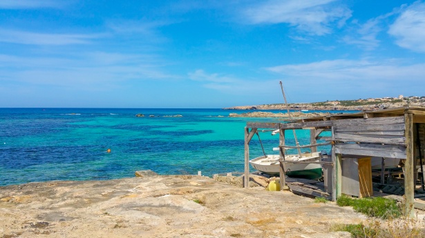 Vive Formentera este verano!